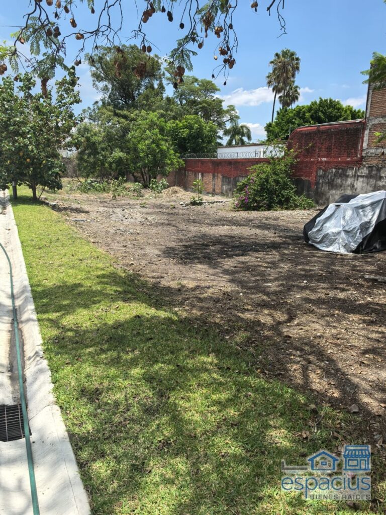 Terreno en Palmira