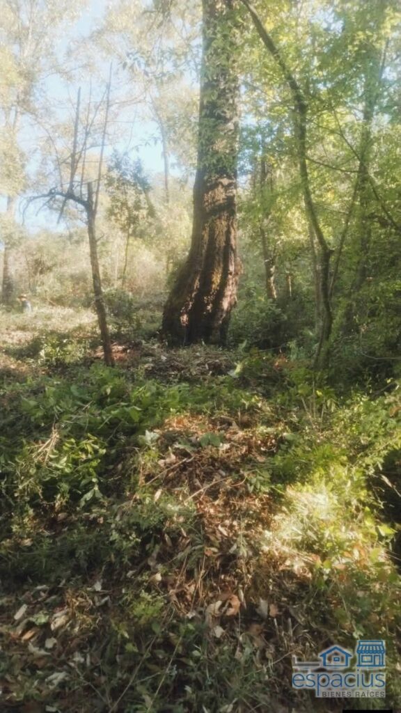 Terreno en Subida a Chalma