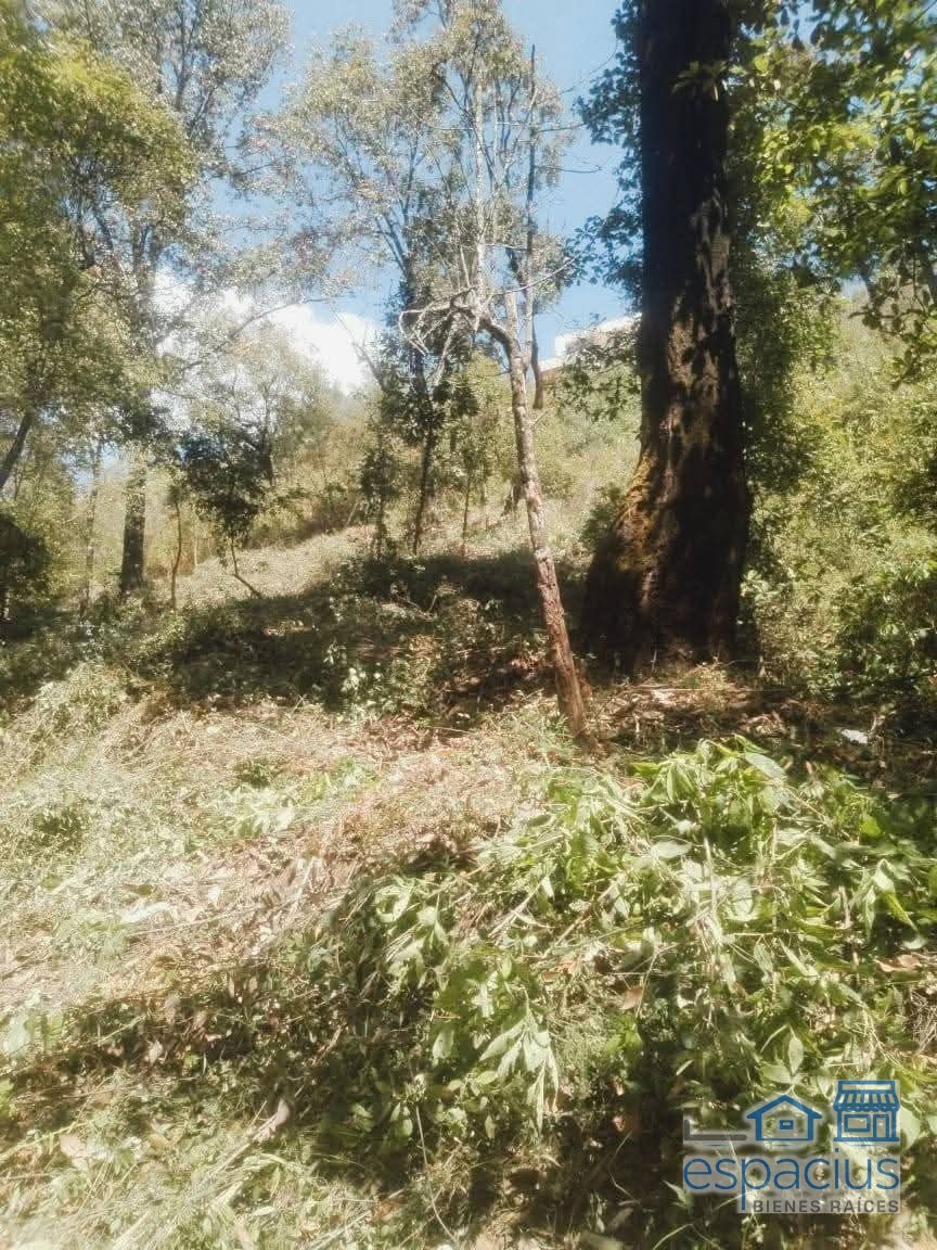 Foto de propiedad