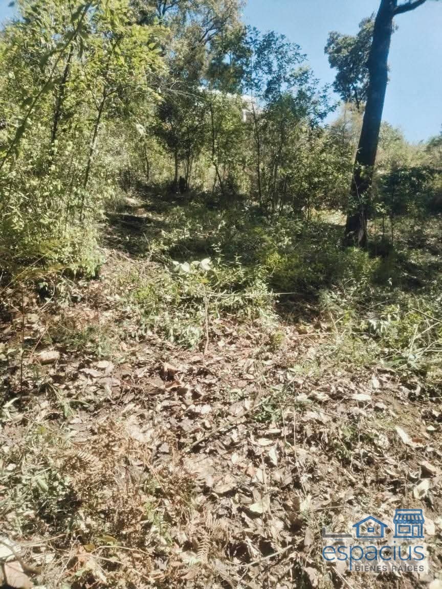 Foto de propiedad