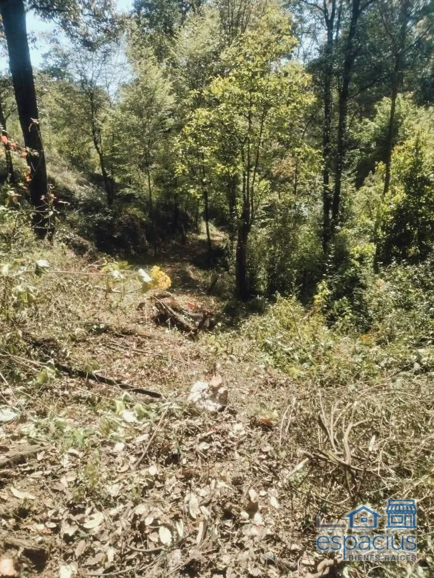 Foto de propiedad
