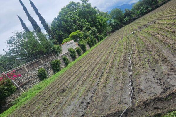 Terreno en venta en Yautepec · $11,480,000